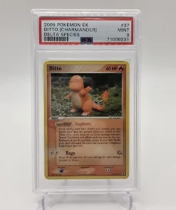 Ditto Charmander